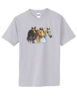 Arabian Horse Trio T Shirt S 6x Plus Sizes Choose Color  