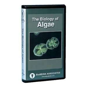 Branches on the Tree of Life Algae DVD  Industrial 