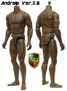 scale ACI ANDREW MUSCULAR BODIES ROCK Ver 2.0 FIGURE BODY ready 