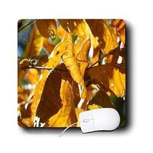   Leaves   Autumn Leaves Transition Gold   Mouse Pads Electronics