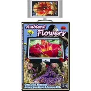  Ambient Flowers DVD