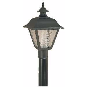  Lighting E8106 31 Black Traditional / Classic Two Light Ambient 