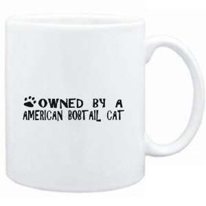  Mug White  OWNED BY a American Bobtail  Cats