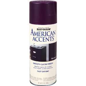  Rust Oleum 7949830 American Accents 12 Ounce Spray, Satin 