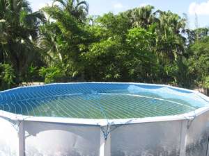   GROUND SWIMMING POOL SAFETY NET COVER WATER WARDEN 15 18 21 24 27 30