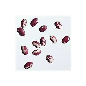  25 heirloom anasazi beans seeds 