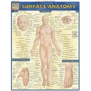  Surface Anatomy, Laminated Giude, sold by 100 Health 