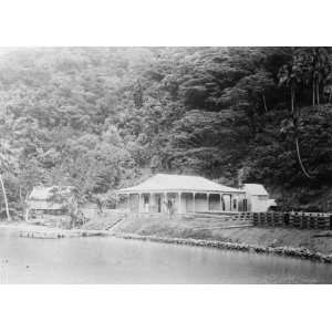  early 1900s photo In Faga Togo, Tutuila, Samoa 