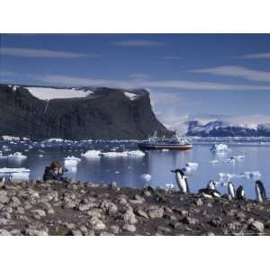 Photographer, Cruise ship and Adelie penguins, Antarctica Photographic 
