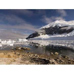 Neko Harbor, Gerlache Strait, Antarctic Peninsula, Antarctica, Polar 