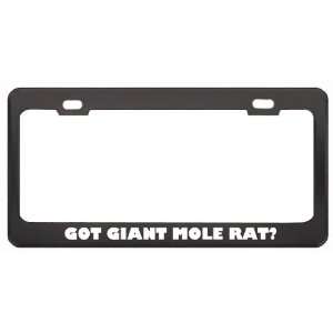  Got Giant Mole Rat? Animals Pets Black Metal License Plate 