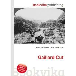  Gaillard Cut Ronald Cohn Jesse Russell Books