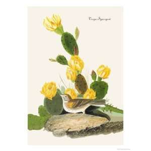 Vesper Sparrow Giclee Poster Print by John James Audubon, 24x32 