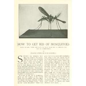    1912 Disease Malaria How To Get Rid of Mosquitoes 