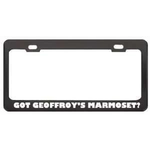 Got GeoffroyS Marmoset? Animals Pets Black Metal License Plate Frame 