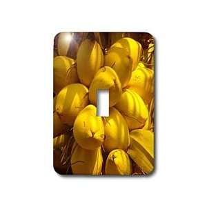  Florene Macro Plants   Yellow Cocos   Light Switch Covers 