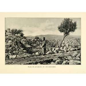  1901 Print Appearance Shepherds Religion Hill Rocks Tree 