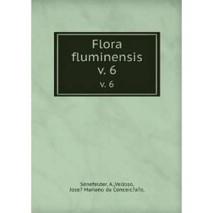  Flora fluminensis. v. 6 A.,Velloso, Jose? Mariano da 