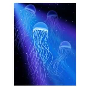  Jellyfish Giclee Poster Print, 9x12