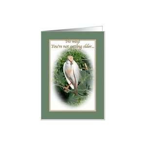  Getting Older Birthday Card with Cattle Egret Card Health 