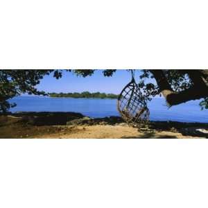  Rope Swing Hanging from a Tree on the Beach, Negril 