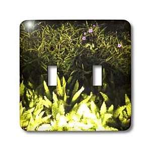  Florene Plants   Ferns and Purple Flowers   Light Switch 