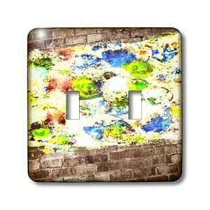 Susan Brown Designs General Themes   Abstract Motion   Light Switch 