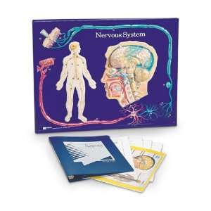 Nasco   Nervous System  Industrial & Scientific