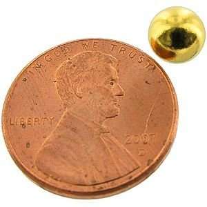  Neodymium Sphere Magnet   Gold Coated (1/4 in) Kitchen 