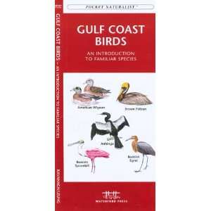   Reference Guide   Gulf Coast Birds   100 Species 
