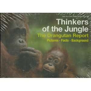  Thinkers Of The Jungle   The Orangutan Report   Pictures 