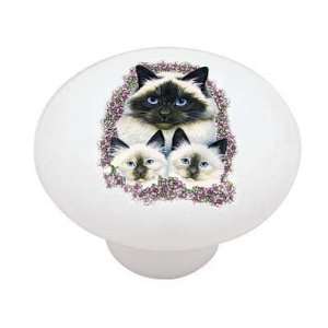 Birman Cats Decorative High Gloss Ceramic Drawer Knob