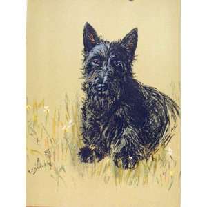   Pet Animal Dog Sketch Drawing Color Fine Art 1938