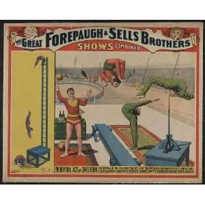   Forepaugh & Sells Brothers,Contortion acts,1899,Circus
