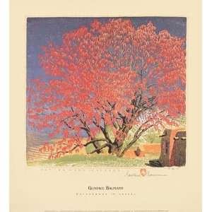  Cottonwood in Tassel By Gustave Baumann Highest Quality Art 