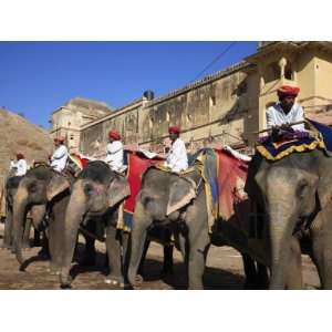 Mahouts and Elephants, Amber Fort Palace, Jaipur, Rajasthan, India 