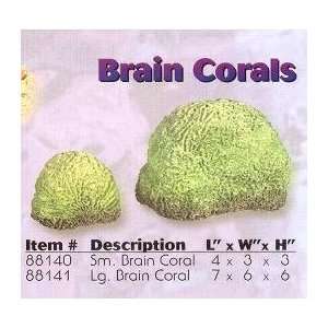  Coralife Replica Brain Coral Green Large