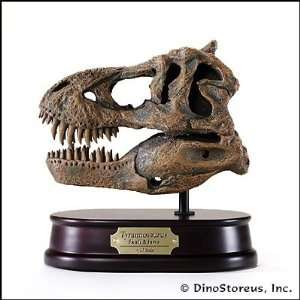 Tyrannosaurus Rex Skull Model 1/10 Scale  Industrial 