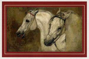 Needlepoint Canvas Arabian Horse Pair  