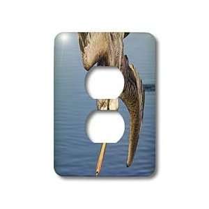  Chica Wetlands, California   Light Switch Covers   2 plug outlet cover