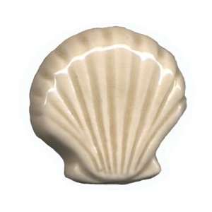 Knob   357 84, Shells, Shell, Seashells, Sea Shells, Fan, Fan Shells