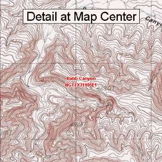  USGS Topographic Quadrangle Map   Babb Canyon, Texas 