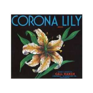  Corona, California, Corona Lily Brand Citrus Label Food 