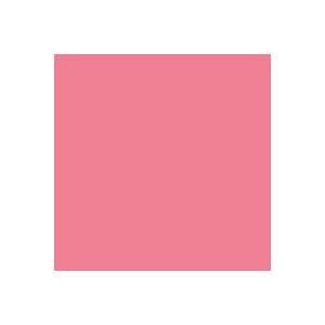  Rosco E Color 039 Pink Carnation Gel Filter Sheet 