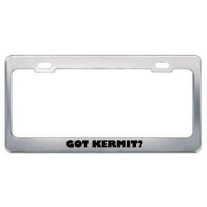  Got Kermit? Boy Name Metal License Plate Frame Holder 