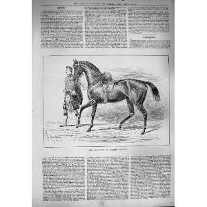  1884 Duke Albany Charger Horses Scottish Man Kilt