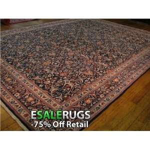    10 0 x 13 2 Birjand Hand Knotted Persian rug