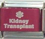 Kidney Transplant Medical Alert for Italian Charm Bracelets + Free 