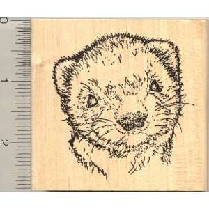  Large Baybee Ferret Face Rubber Stamp Arts, Crafts 