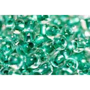  Beaders Paradise LT6E525 Czech Glass Crystal Green Lined 
